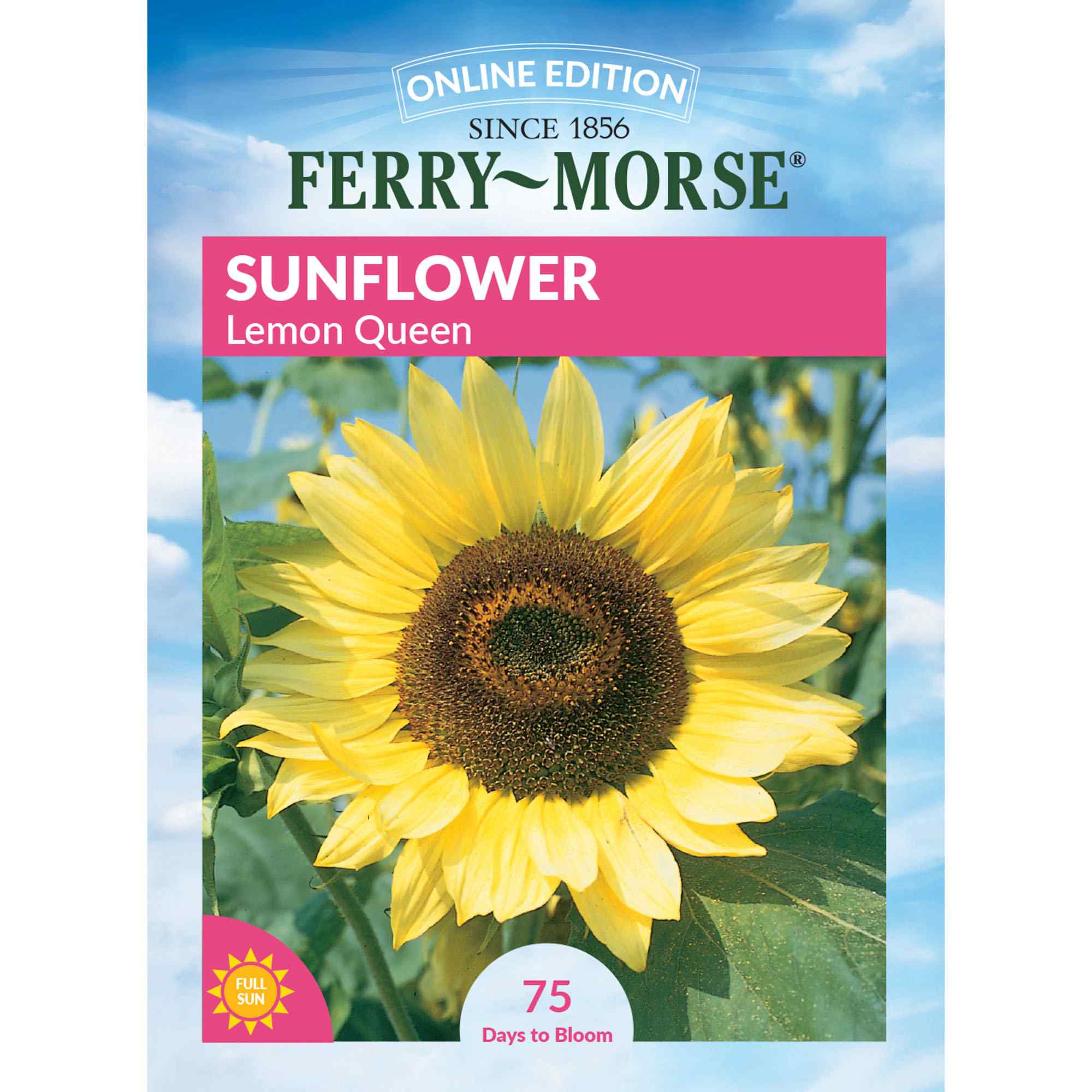 Sunflower lemon queen front of packaging